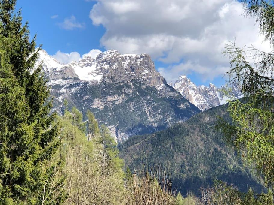 Appartamento Giada Pozzale Di Pieve Di Cadore Eksteriør billede